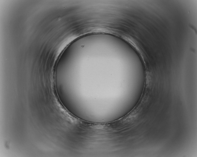 X0000100981048200807081239