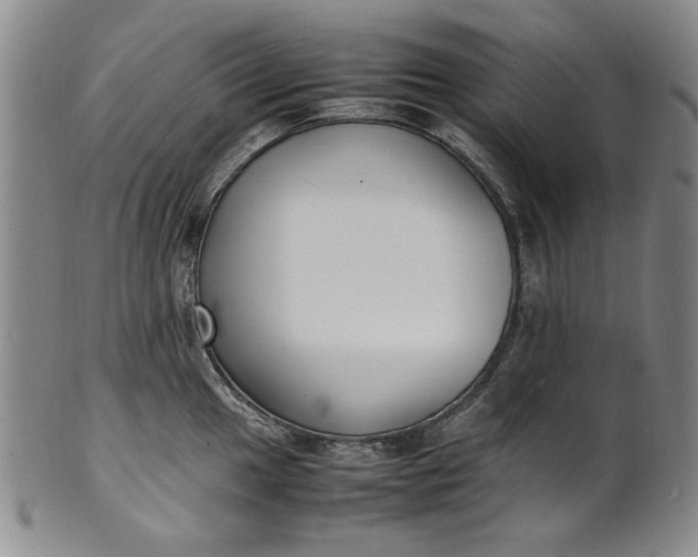 X0000100981049200807081239