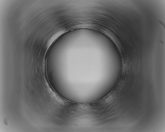 X0000100981050200807081239