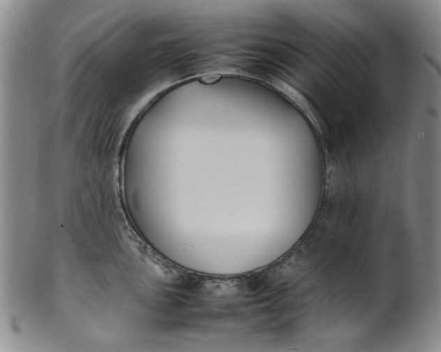 X0000100981051200807081239