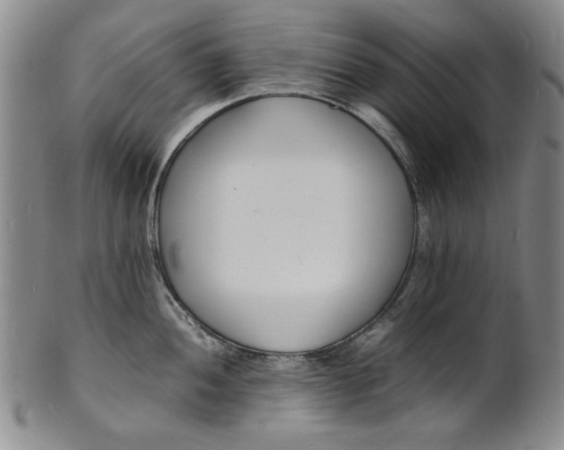 X0000100981052200807081239