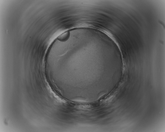 X0000100981053200807081239