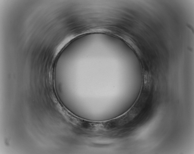 X0000100981054200807081239