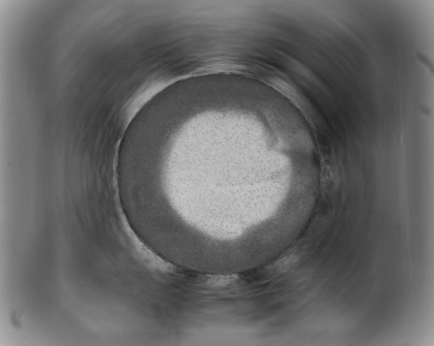 X0000100981055200807081239