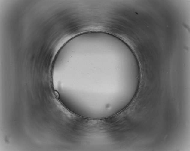 X0000100981056200807081239