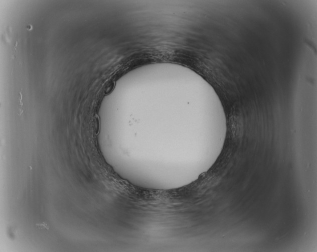 X0000100981057200807081238