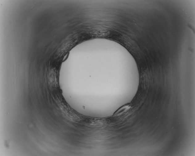 X0000100981058200807081238