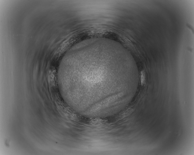 X0000100981059200807081238