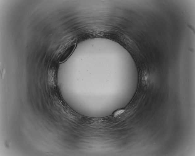 X0000100981060200807081238