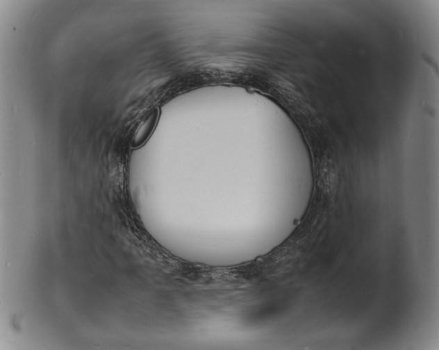 X0000100981061200807081238