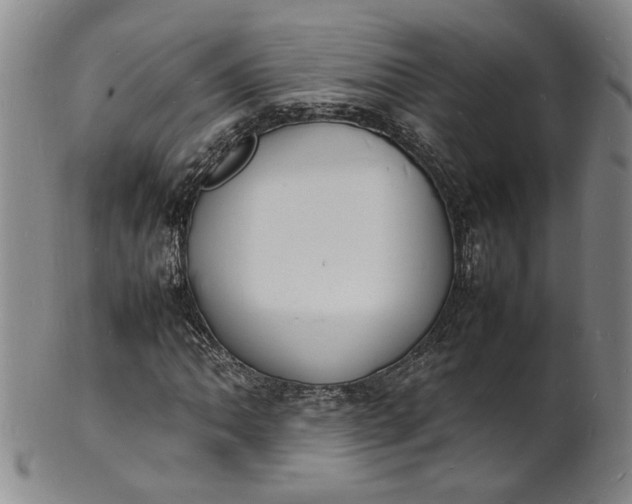 X0000100981062200807081238