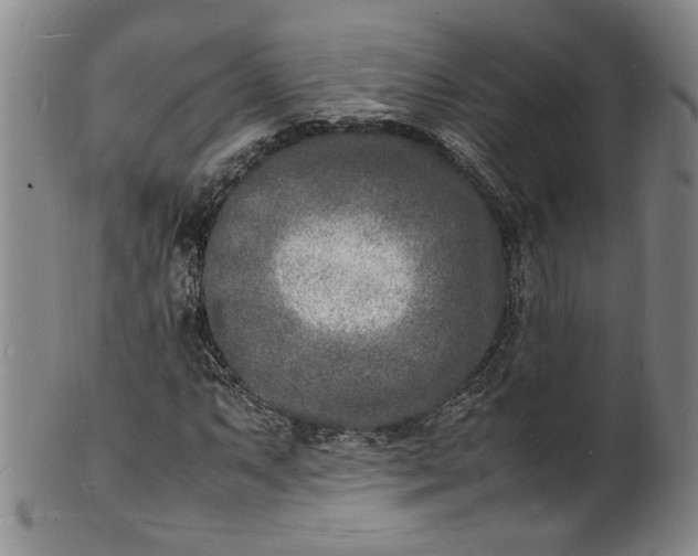 X0000100981063200807081238