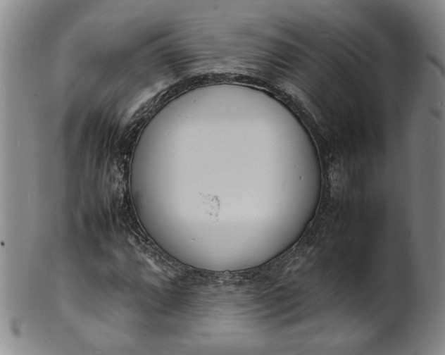 X0000100981064200807081238