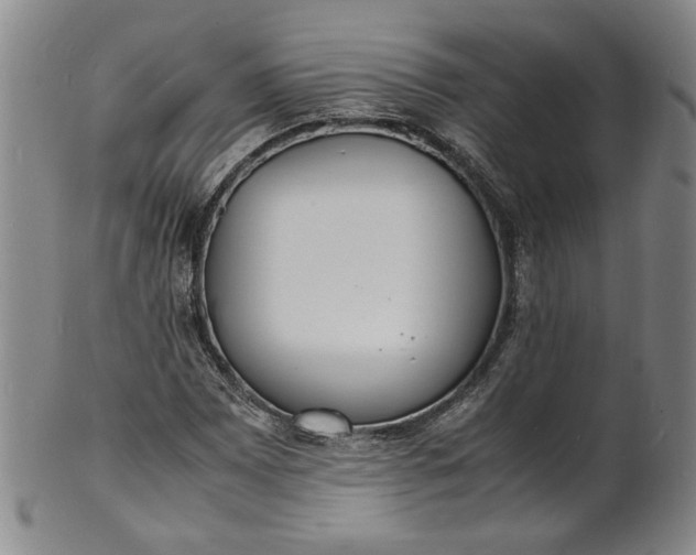 X0000100981065200807081238