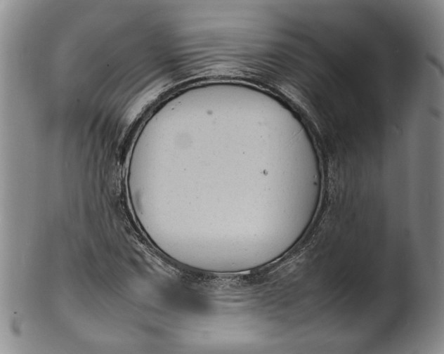 X0000100981067200807081238