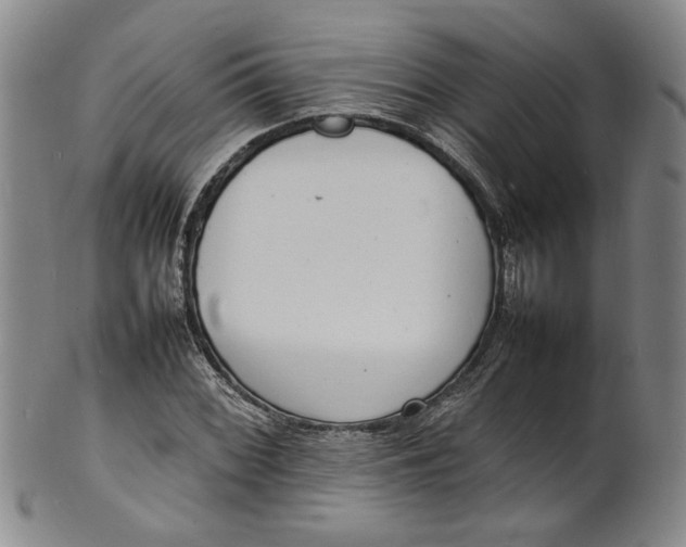 X0000100981068200807081238