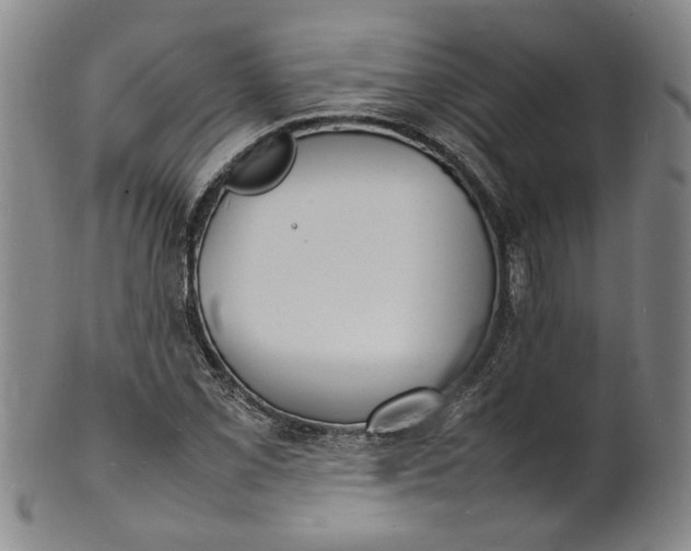 X0000100981069200807081238