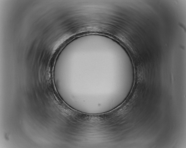 X0000100981070200807081238