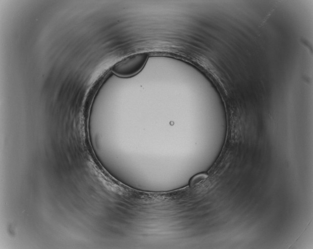 X0000100981072200807081238