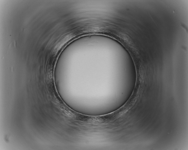 X0000100981073200807081238