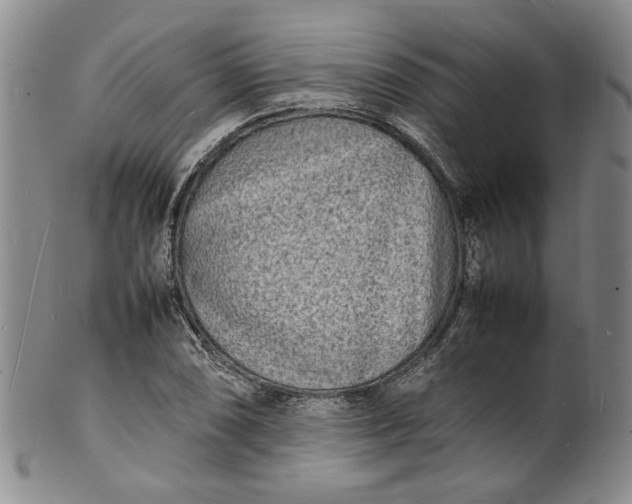 X0000100981074200807081238