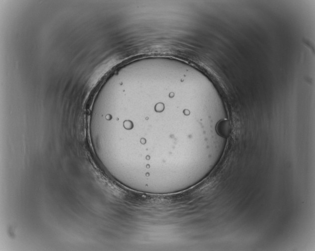 X0000100981075200807081238