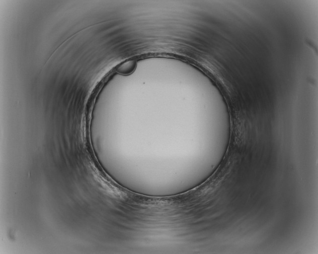 X0000100981076200807081238