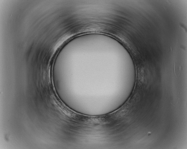 X0000100981078200807081238