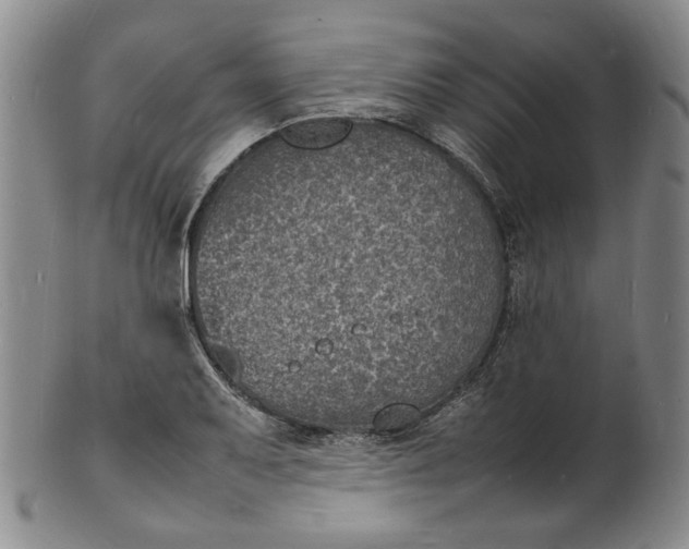 X0000100981079200807081238