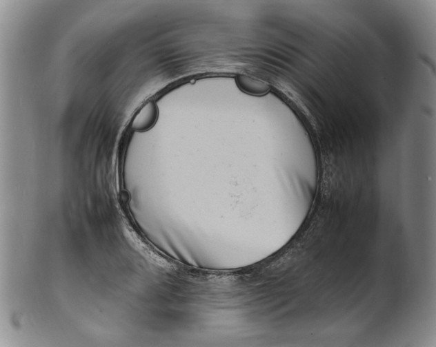 X0000100981080200807081238