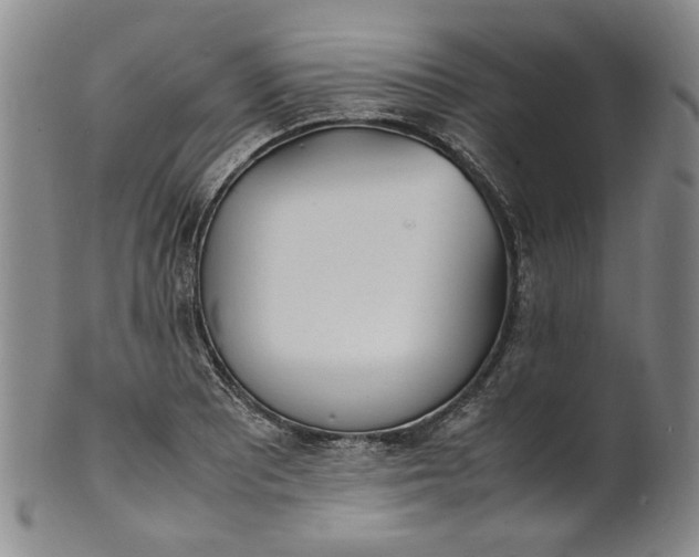 X0000100981081200807081238