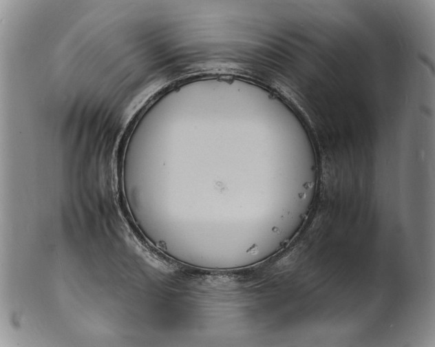 X0000100981082200807081238