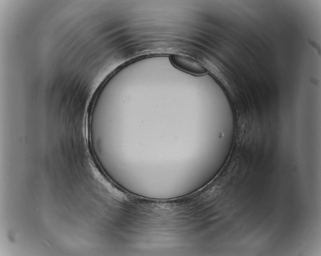 X0000100981084200807081238