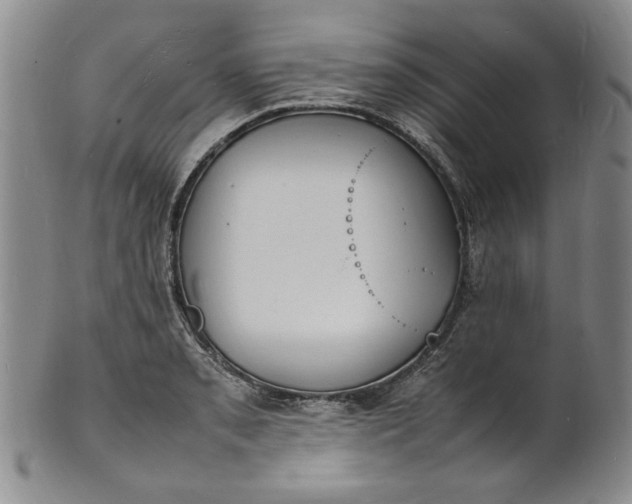 X0000100981085200807081238