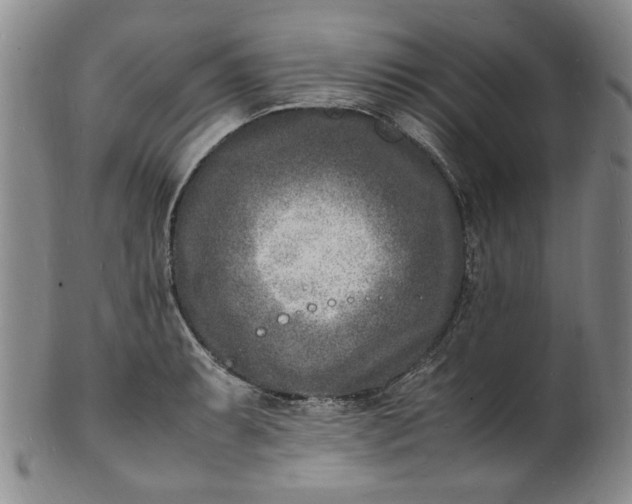 X0000100981087200807081238