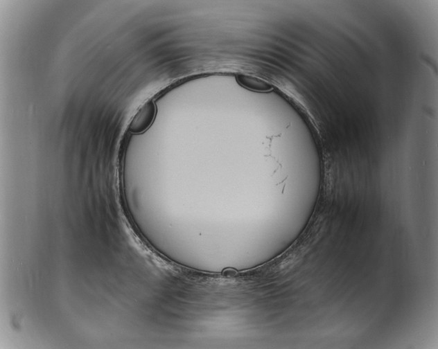 X0000100981088200807081238