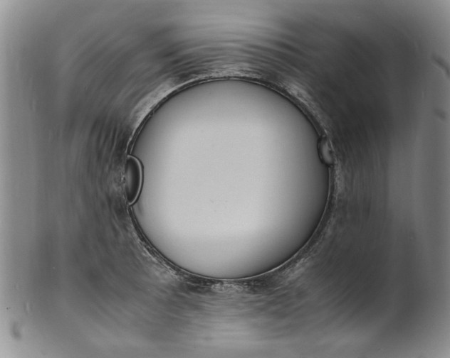 X0000100981089200807081238