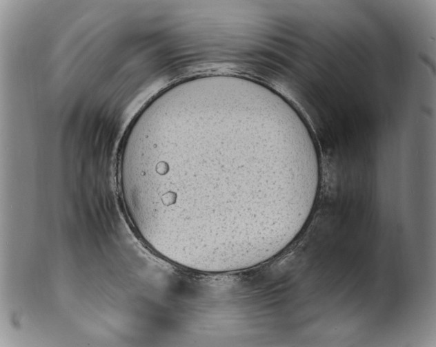 X0000100981090200807081238