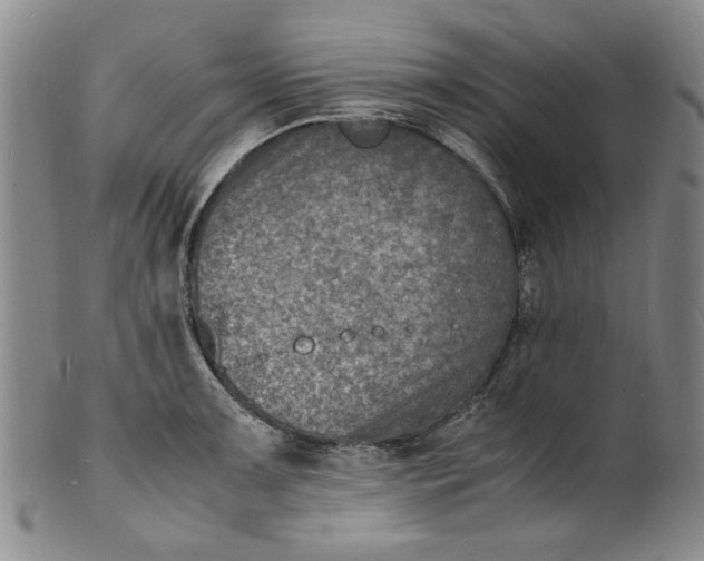 X0000100981091200807081238