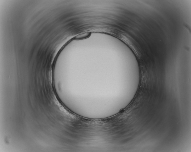 X0000100981092200807081238