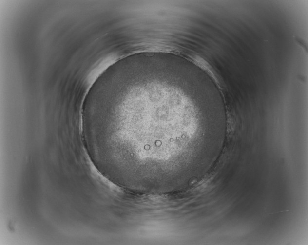 X0000100981095200807081238