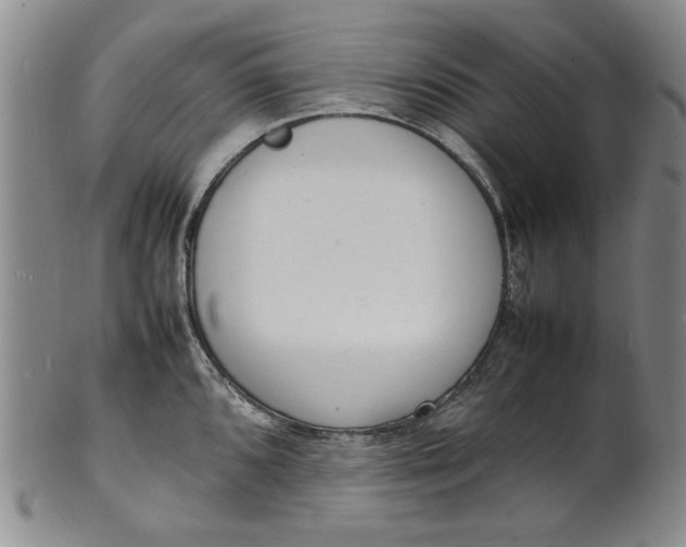 X0000100981096200807081237