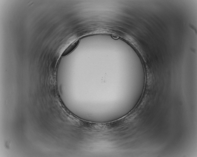 X0000100981097200807081237