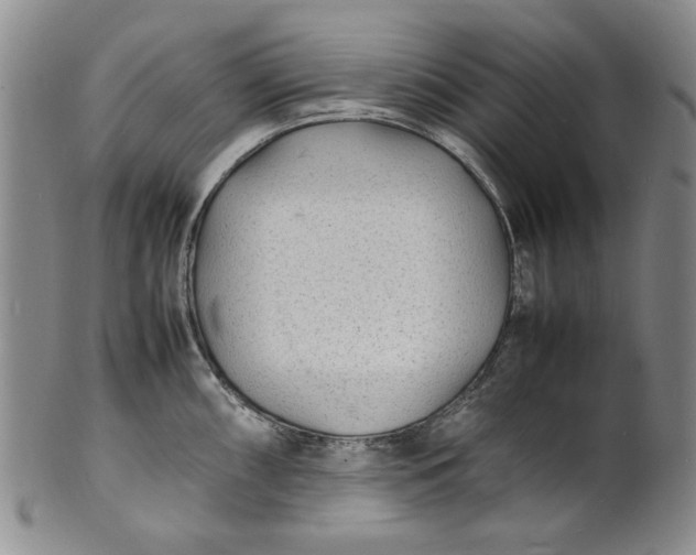 X0000100981098200807081237