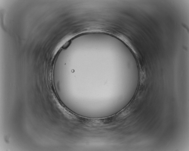 X0000100981101200807081237