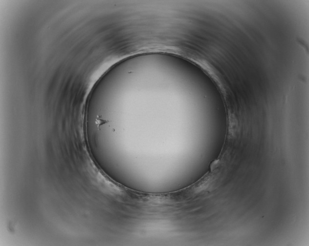 X0000100981102200807081237