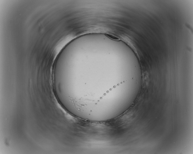 X0000100981103200807081237