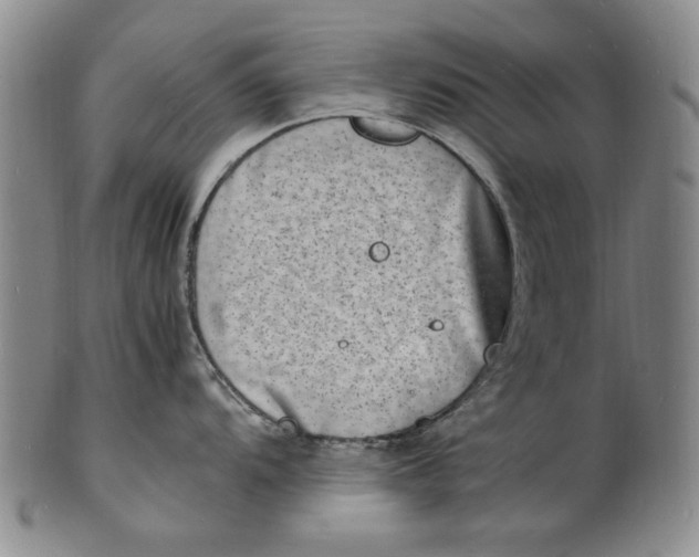 X0000100981104200807081237