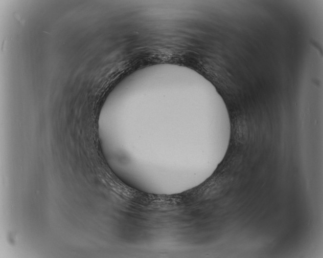 X0000100981105200807081237