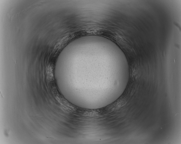 X0000100981106200807081237